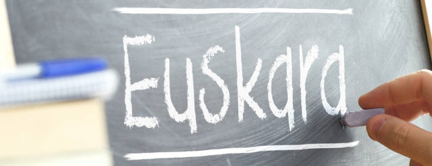 euskarabidea dirulaguntzak.jpg