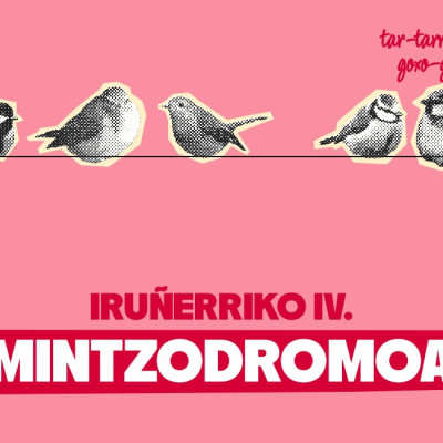 Iruñerriko IV. mintzodromoa.jpg